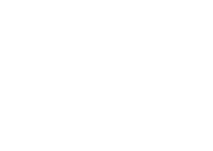 SnineSpain Logo Blanco